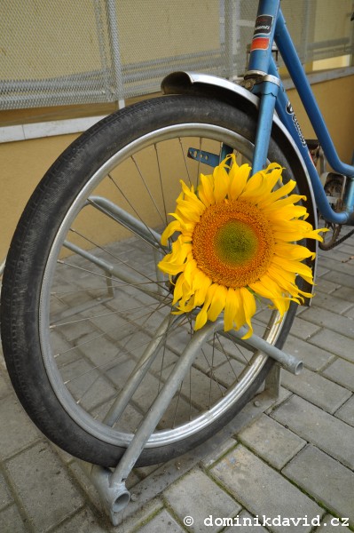 foto/plener-2009-2 - 40