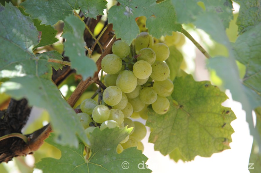 foto/na-vode-2012-sobota - 0